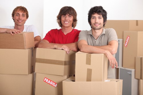 Practical van loading for a move in Newsouthgate