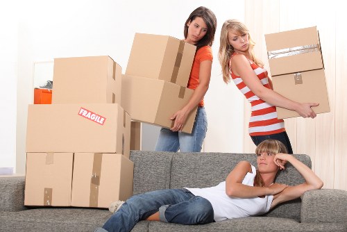 Staff preparing for office removals in Newsouthgate with labelled boxes