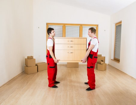 Packing and transport support for removal services in Newsouthgate